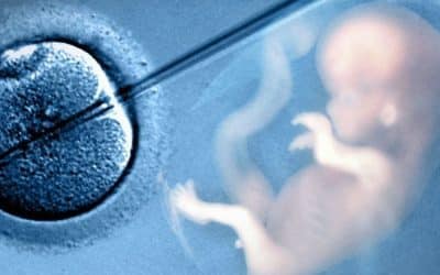 Tüp Bebek – IVF