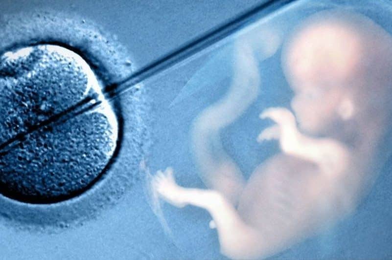 Tüp Bebek – IVF